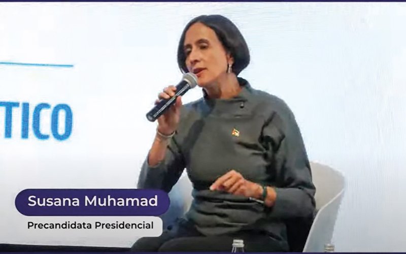 Susana Muhamad: “En vez de perder el tiempo trayendo los inversionistas para al fracking, tenemos que profundizar en energías renovables”