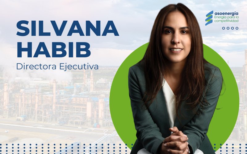 Nueva Directora Ejecutiva de Asoenergía