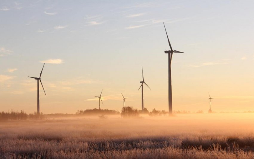 México detiene 400 MW de proyectos y se anota su peor año en la adopción de energía eólica