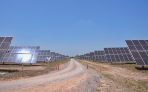 En Colombia, se inauguró el Parque Solar La Loma con 387 hectáreas de paneles solares