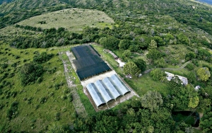 Enel-Emgesa presenta exitosos resultados del plan piloto de restauración ecológica en el Quimbo.