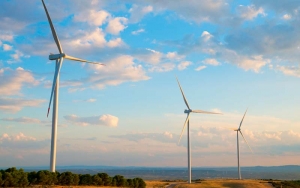 IRENA y GWEC mejoran la cooperación para ampliar las energías renovables a nivel mundial