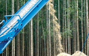 Crece desarrollo de la industria de Biomasa, la energía renovable de los bosques