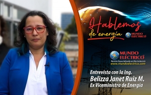 Entrevista con Ing. Belizza Janet Ruiz - Ex Viceministra de Energia