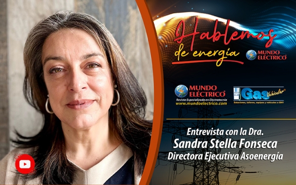 HABLEMOS DE ENERGIA ENTREVISTA 6 | Entrevista Dra. Sandra Fonseca Directora ejecutiva ASOENERGÍA