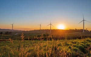 Carbono neutro: una oportunidad para el sector energético y las economías